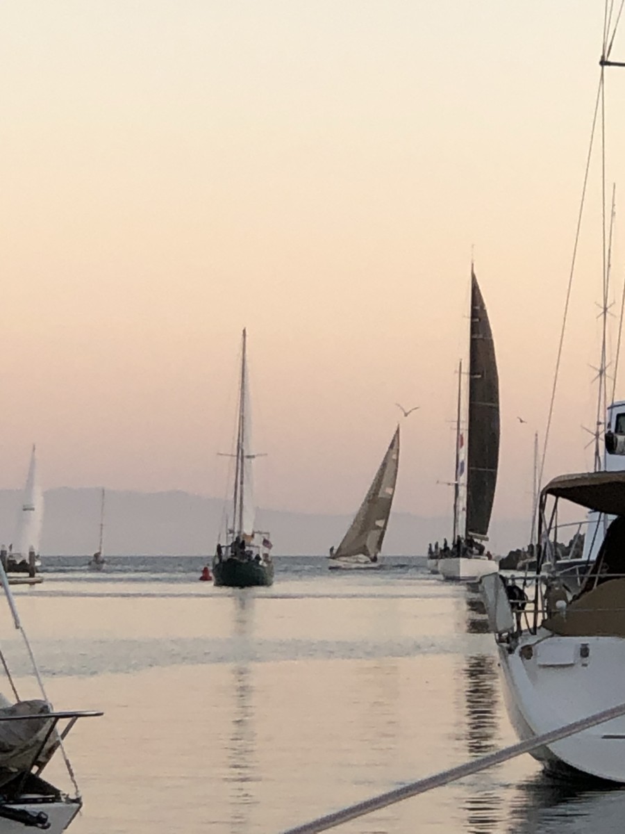 Santa Cruz