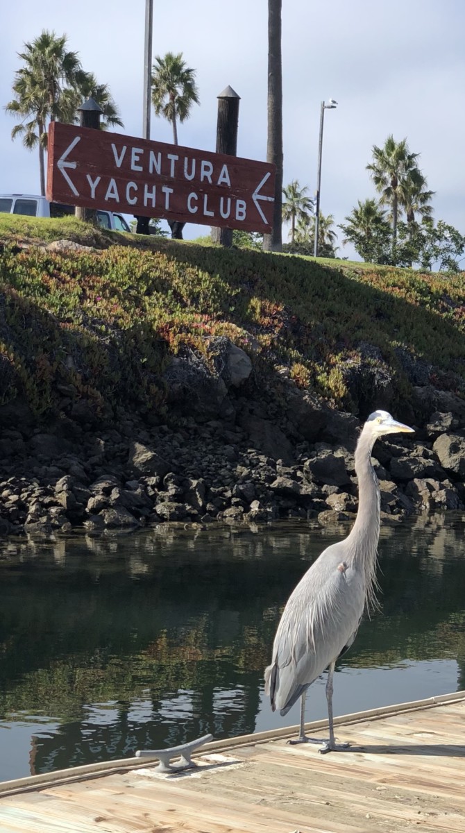Ventura CA